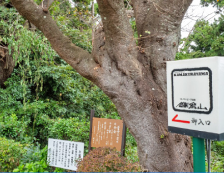 ローストビーフの店 鎌倉山 本店
