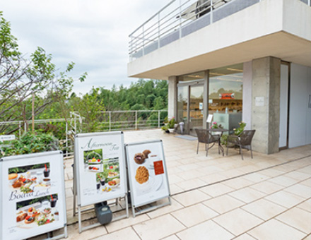 ル?ミリュウ鎌倉山