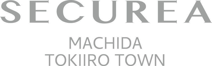 SECUREA MACGIDA TOKIIRO TOWN