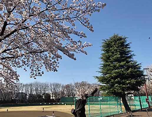 町田中央公園(サン町田旭體育館)