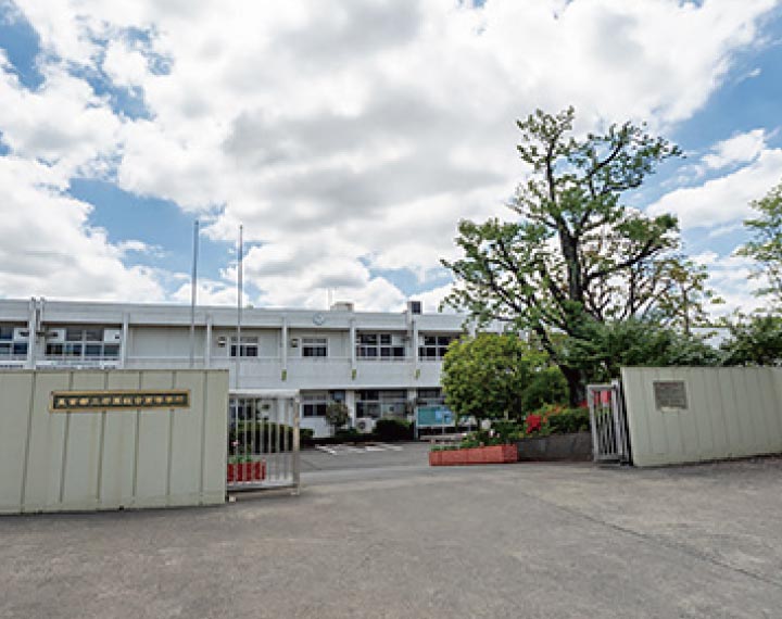 東京都立若葉総合高等學校