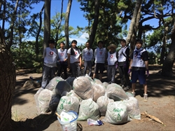 三保松原 保全活動