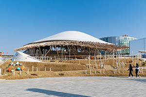 クラゲは皆の中にある創造性やいのちの象徴