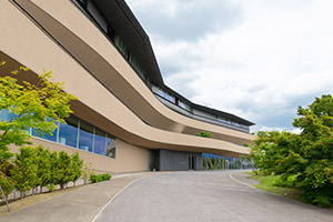 大地が隆起したような有機的な外観