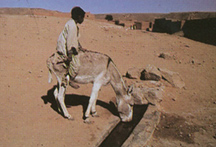 第2の水場での動物に水を與える風景
