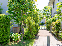 緑が気持ちの良い小路