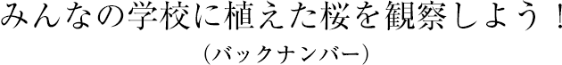 みんなの學(xué)校に植えた桜を観察しよう!(バックナンバー)
