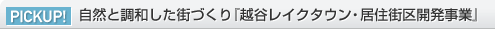 PICKUP！ 自然と調和した街づくり『越谷レイクタウン?居住街區開発事業』