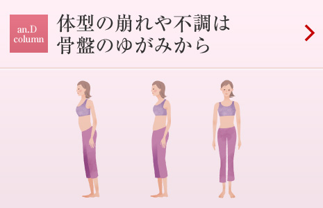 an.D Cloumn:體型の崩れや不調は骨盤のゆがみから