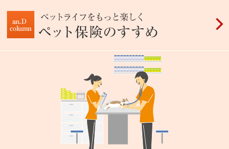 an.D Column:ペットライフをもっと楽しく ペット保険のすすめ
