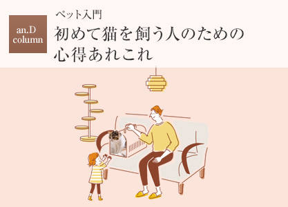 an.D column:ペット入門 初めて貓を飼う人のための心得あれこれ