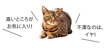 高いところがお?dú)荬巳毪辏〔粷崵胜韦稀ⅴぅ洌?></p>
<h4 class=