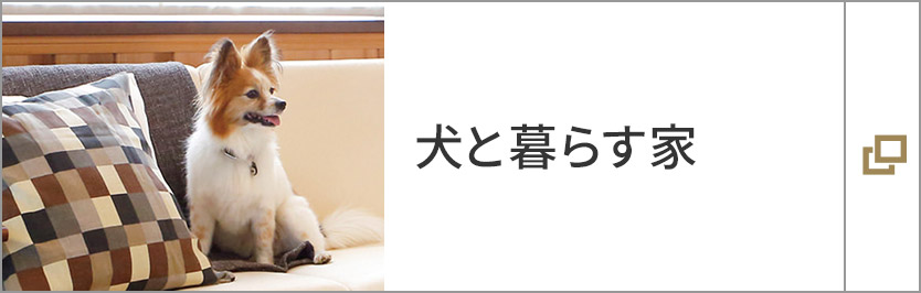犬と暮らす家
