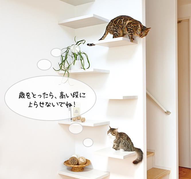 歳をとったら、高い段に 上らせないでね！