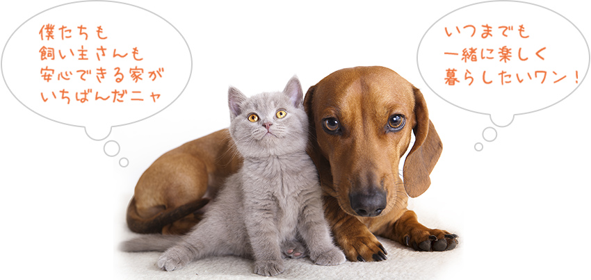 僕たちも飼い主さんも安心できる家がいちばんだニャ いつまでも一緒に楽しく暮らしたいワン!