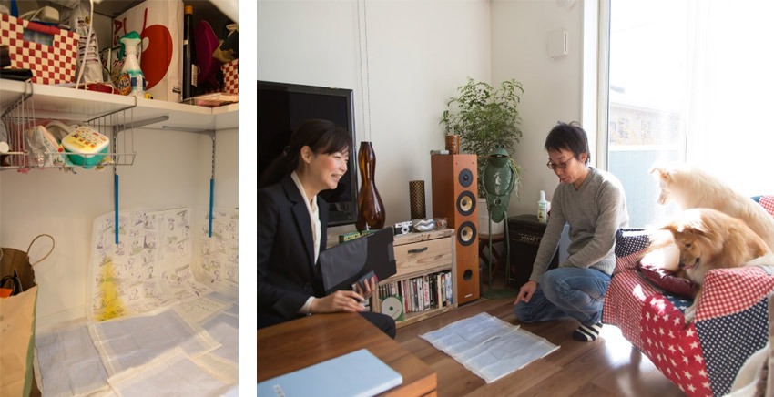 説明しているそばから大吉が足をあげておしっこをしていた 殘念なことに福ちゃんはいまだにトイレ以外の場(chǎng)所でおしっこをするので、リビングにもシートを敷いている