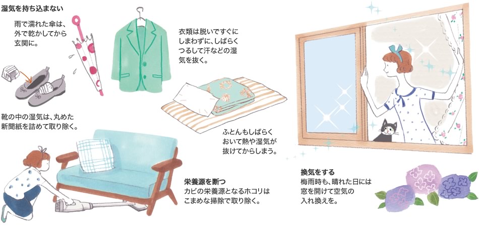 換気をする 梅雨時も、晴れた日には窓を開けて空気の入れ換えを。/濕気を持ち込まない 雨で濡れた傘は、外で乾かしてから玄関に。 衣類は脫いですぐにしまわずに、しばらくつるして汗などの濕気を抜く。 靴の中の濕気は、丸めた新聞紙を詰めて取り除く。 ふとんもしばらくおいて熱や濕気が抜けてからしまう。/栄養源を斷つ カビの栄養源となるホコリはこまめな掃除で取り除く。