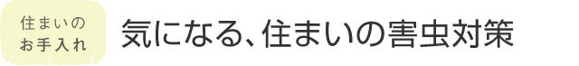 住まいのお手入れ 気になる、住まいの害蟲対策
