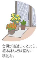 臺(tái)風(fēng)が接近してきたら、植木鉢などは室內(nèi)に移動(dòng)を。