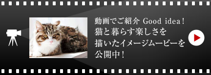動畫でご紹介 Good idea! 貓と暮らす楽しさを描いたイメージムービーを公開中!