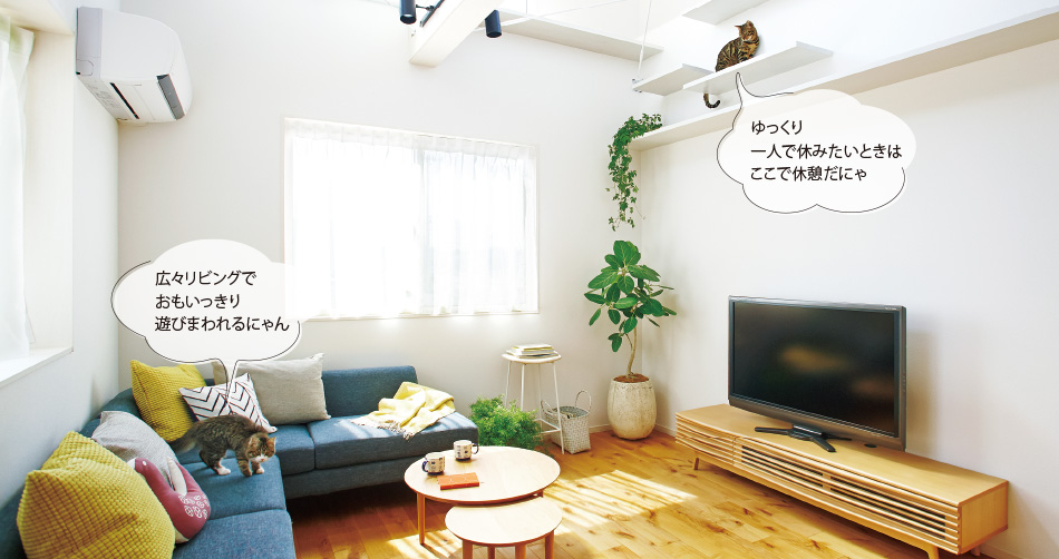 広々リビングでおもいっきり遊びまわれるにゃん ゆっくり一人で休みたいときはここで休憩だにゃ