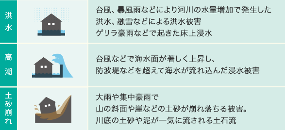 洪水:臺風、暴風雨などにより河川の水量増加で発生した洪水、融雪などによる洪水被害ゲリラ豪雨などで起きた床上浸水 高潮:臺風などで海水面が著しく上昇し、防波堤などを超えて海水が流れ込んだ浸水被害 土砂崩れ:大雨や集中豪雨で山の斜面や崖などの土砂が崩れ落ちる被害。川底の土砂や泥が一気に流される土石流